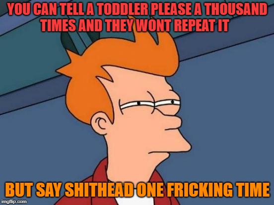 toddlers | YOU CAN TELL A TODDLER PLEASE A THOUSAND TIMES AND THEY WONT REPEAT IT; BUT SAY SHITHEAD ONE FRICKING TIME | image tagged in memes,futurama fry | made w/ Imgflip meme maker