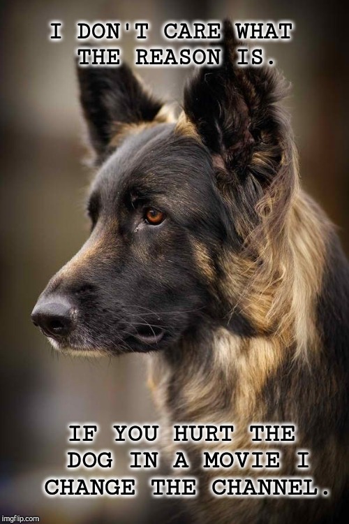 What Kind Of Sick Sadistic Jerk Kills the Dog??? | I DON'T CARE WHAT THE REASON IS. IF YOU HURT THE DOG IN A MOVIE I CHANGE THE CHANNEL. | image tagged in dogs,cute puppies,adorable,sick humor,nope nope nope,memes | made w/ Imgflip meme maker