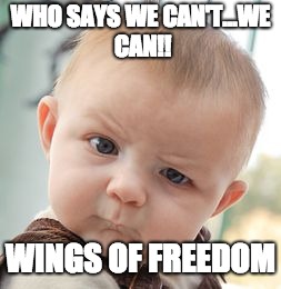 Skeptical Baby Meme | WHO SAYS WE CAN'T...WE CAN!! WINGS OF FREEDOM | image tagged in memes,skeptical baby | made w/ Imgflip meme maker