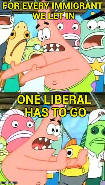 Problem solved , you can thank me later | FOR EVERY IMMIGRANT WE LET IN; ONE LIBERAL HAS TO GO | image tagged in memes,put it somewhere else patrick,libtards,crying,illegal aliens | made w/ Imgflip meme maker