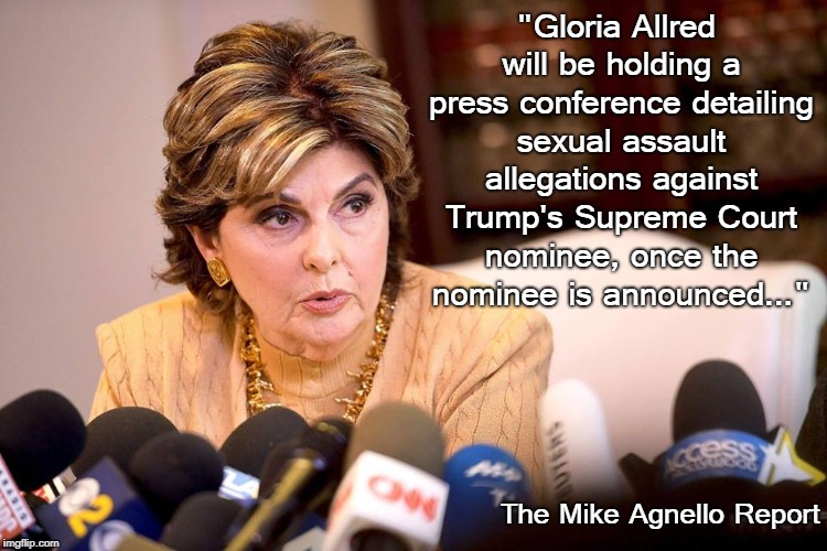 No truer words... | "Gloria Allred will be holding a press conference detailing sexual assault allegations against Trump's Supreme Court nominee, once the nominee is announced..."; The Mike Agnello Report | image tagged in gloria allred,press conference,sexual allegations,nominee | made w/ Imgflip meme maker