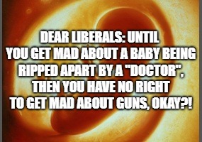 Dear Liberals | DEAR LIBERALS: UNTIL YOU GET MAD ABOUT A BABY BEING RIPPED APART BY A "DOCTOR", THEN YOU HAVE NO RIGHT TO GET MAD ABOUT GUNS, OKAY?! | image tagged in memes,liberals,abortion,guns,pro life | made w/ Imgflip meme maker