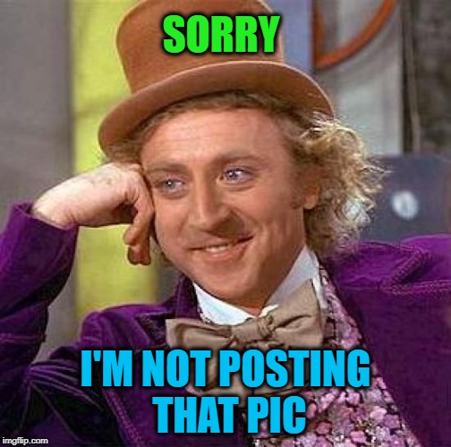 Creepy Condescending Wonka Meme | SORRY I'M NOT POSTING THAT PIC | image tagged in memes,creepy condescending wonka | made w/ Imgflip meme maker