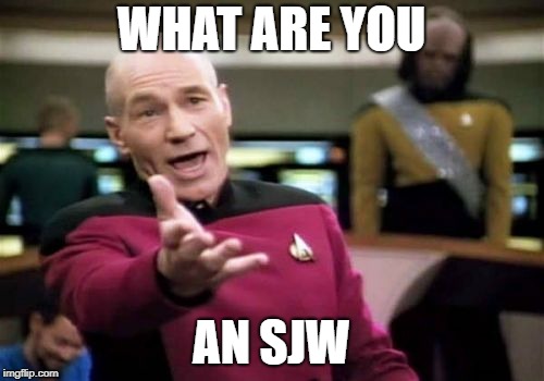 Picard Wtf Meme | WHAT ARE YOU AN SJW | image tagged in memes,picard wtf | made w/ Imgflip meme maker