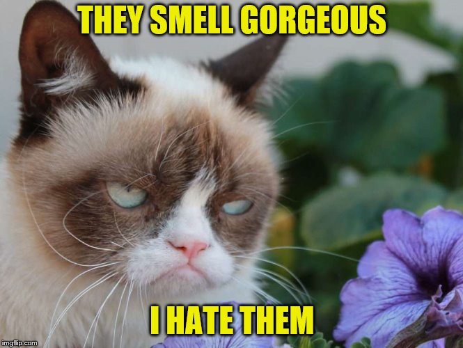 THEY SMELL GORGEOUS I HATE THEM | made w/ Imgflip meme maker