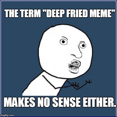 THE TERM "DEEP FRIED MEME" MAKES NO SENSE EITHER. | made w/ Imgflip meme maker