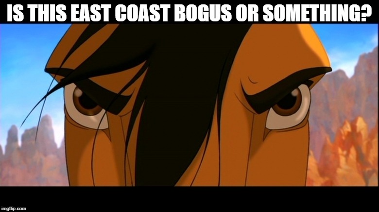 Spirit Mad | IS THIS EAST COAST BOGUS OR SOMETHING? | image tagged in spirit mad | made w/ Imgflip meme maker