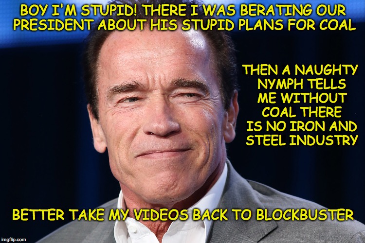 Dumb Ass Arnie | BOY I'M STUPID! THERE I WAS BERATING OUR PRESIDENT ABOUT HIS STUPID PLANS FOR COAL; THEN A NAUGHTY NYMPH TELLS ME WITHOUT COAL THERE IS NO IRON AND STEEL INDUSTRY; BETTER TAKE MY VIDEOS BACK TO BLOCKBUSTER | image tagged in dumb ass arnie,donald trump,democrats,special kind of stupid | made w/ Imgflip meme maker