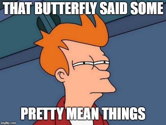Futurama Fry Meme | THAT BUTTERFLY SAID SOME PRETTY MEAN THINGS | image tagged in memes,futurama fry | made w/ Imgflip meme maker