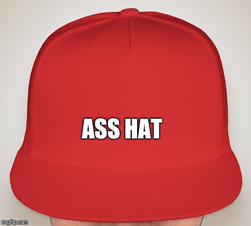 Trump Hat | ASS HAT | image tagged in trump hat | made w/ Imgflip meme maker