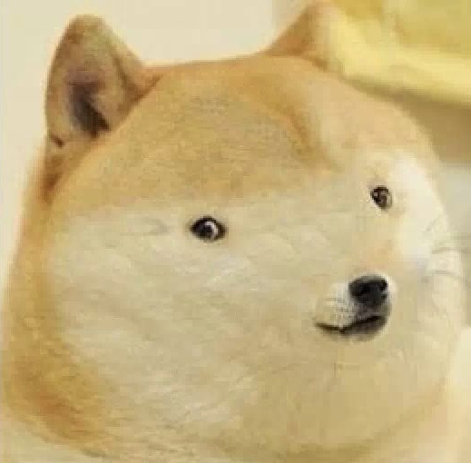 High Quality Doge tiny face Blank Meme Template