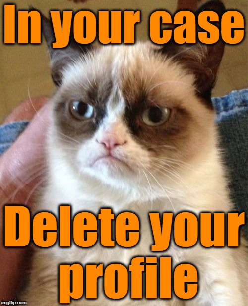 Grumpy Cat Meme | In your case Delete your profile | image tagged in memes,grumpy cat | made w/ Imgflip meme maker