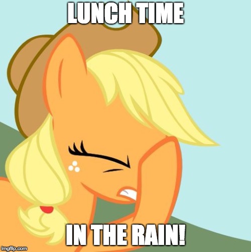 AJ face hoof | LUNCH TIME; IN THE RAIN! | image tagged in aj face hoof | made w/ Imgflip meme maker