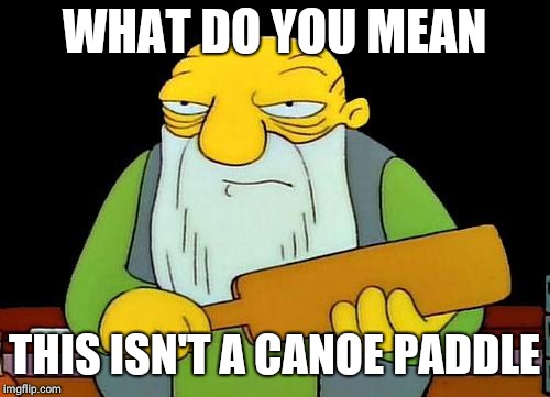 That's a paddlin' Meme | WHAT DO YOU MEAN; THIS ISN'T A CANOE PADDLE | image tagged in memes,that's a paddlin' | made w/ Imgflip meme maker