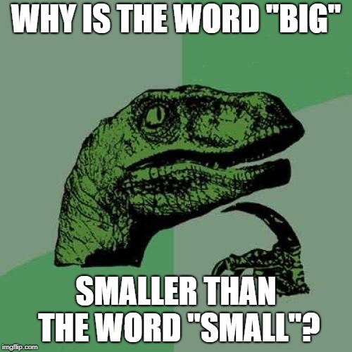 Philosoraptor Meme | WHY IS THE WORD "BIG"; SMALLER THAN THE WORD "SMALL"? | image tagged in memes,philosoraptor | made w/ Imgflip meme maker