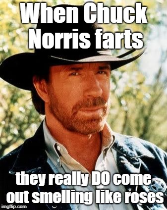 Chuck Norris | When Chuck Norris farts; they really DO come out smelling like roses | image tagged in memes,chuck norris | made w/ Imgflip meme maker