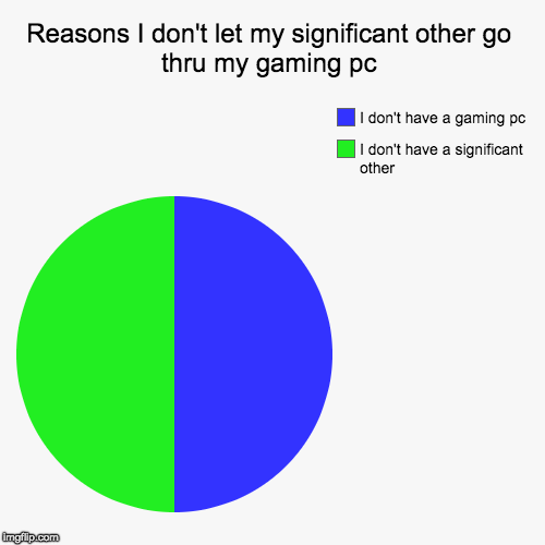 Reasons I don't let my significant other go thru my gaming pc | I don't have a significant other, I don't have a gaming pc | image tagged in funny,pie charts | made w/ Imgflip chart maker