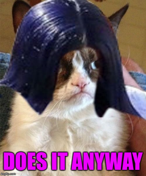 Grumpy doMima (flipped) | DOES IT ANYWAY | image tagged in grumpy domima flipped | made w/ Imgflip meme maker