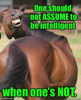 One should not ASSUME to be intelligent when one’s NOT. | made w/ Imgflip meme maker