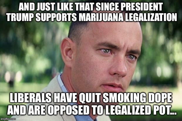 And Just Like That | AND JUST LIKE THAT SINCE PRESIDENT TRUMP SUPPORTS MARIJUANA LEGALIZATION; LIBERALS HAVE QUIT SMOKING DOPE AND ARE OPPOSED TO LEGALIZED POT... | image tagged in forrest gump | made w/ Imgflip meme maker