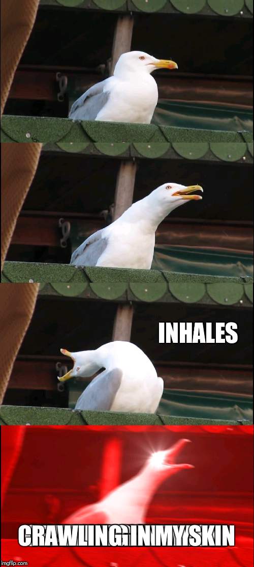 Inhaling Seagull Meme | INHALES; CRAWLING  IN MY SKIN | image tagged in memes,inhaling seagull | made w/ Imgflip meme maker