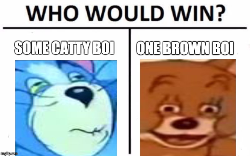Who Would Win? | SOME CATTY BOI; ONE BROWN BOI | image tagged in memes,who would win | made w/ Imgflip meme maker