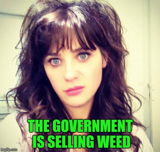 Zooey Deschanel | THE GOVERNMENT IS SELLING WEED | image tagged in zooey deschanel | made w/ Imgflip meme maker