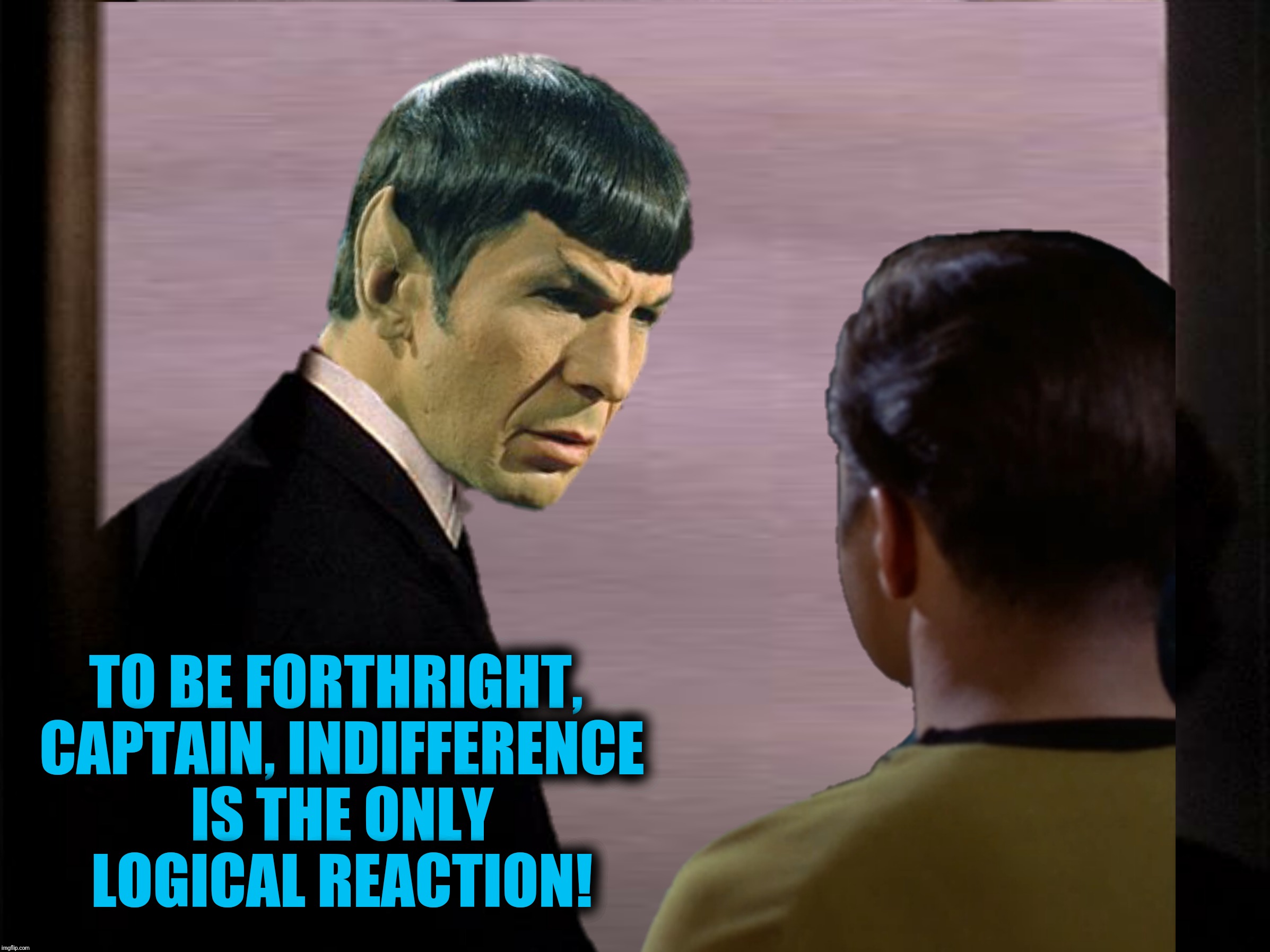 Bad Photoshop Sunday presents:  Frankly, Jim, I don't give a damn! | TO BE FORTHRIGHT, CAPTAIN, INDIFFERENCE IS THE ONLY LOGICAL REACTION! | image tagged in bad photoshop sunday,star trek,mr spock,captain kirk,gone with the wind | made w/ Imgflip meme maker