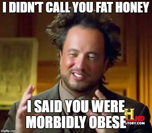 Ancient Aliens Meme | I DIDN'T CALL YOU FAT HONEY I SAID YOU WERE MORBIDLY OBESE | image tagged in memes,ancient aliens | made w/ Imgflip meme maker