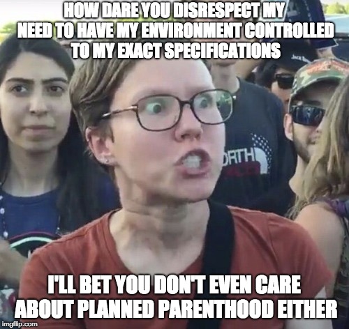 Triggered feminist | HOW DARE YOU DISRESPECT MY NEED TO HAVE MY ENVIRONMENT CONTROLLED TO MY EXACT SPECIFICATIONS I'LL BET YOU DON'T EVEN CARE ABOUT PLANNED PARE | image tagged in triggered feminist | made w/ Imgflip meme maker