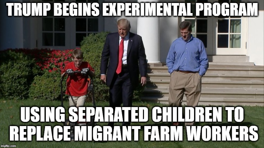 TRUMP BEGINS EXPERIMENTAL PROGRAM; USING SEPARATED CHILDREN TO REPLACE MIGRANT FARM WORKERS | image tagged in trump 2020,illegal immigration,border wall | made w/ Imgflip meme maker