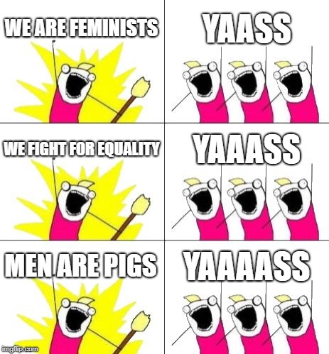 What Do We Want 3 Meme | WE ARE FEMINISTS; YAASS; WE FIGHT FOR EQUALITY; YAAASS; MEN ARE PIGS; YAAAASS | image tagged in memes,what do we want 3 | made w/ Imgflip meme maker