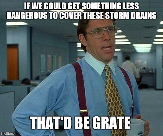 That Would Be Great Meme | IF WE COULD GET SOMETHING LESS DANGEROUS TO COVER THESE STORM DRAINS THAT'D BE GRATE | image tagged in memes,that would be great | made w/ Imgflip meme maker