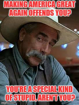 Sam Elliott | MAKING AMERICA GREAT AGAIN OFFENDS YOU? YOU'RE A SPECIAL KIND OF STUPID, AREN'T YOU? | image tagged in sam elliott | made w/ Imgflip meme maker