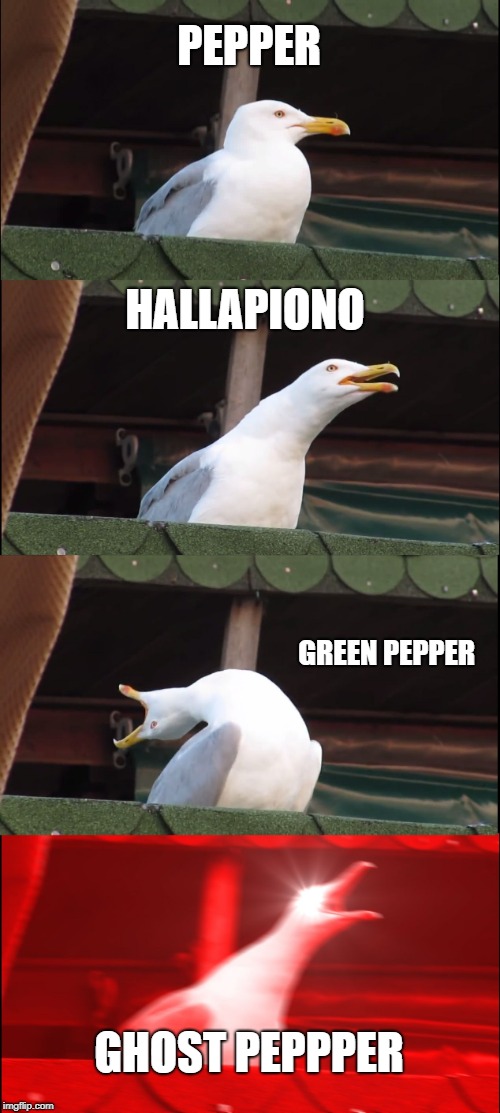 Inhaling Seagull Meme | PEPPER; HALLAPIONO; GREEN PEPPER; GHOST PEPPPER | image tagged in memes,inhaling seagull | made w/ Imgflip meme maker