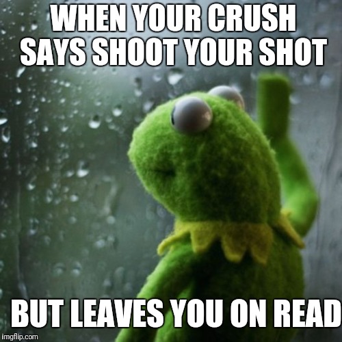 sometimes I wonder  | WHEN YOUR CRUSH SAYS SHOOT YOUR SHOT; BUT LEAVES YOU ON READ | image tagged in sometimes i wonder | made w/ Imgflip meme maker