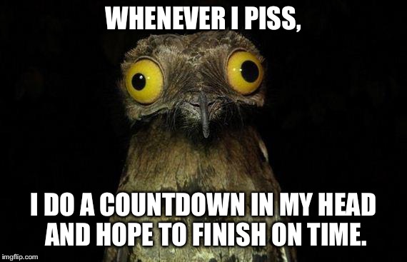 Weird Stuff I Do Potoo Meme | WHENEVER I PISS, I DO A COUNTDOWN IN MY HEAD AND HOPE TO FINISH ON TIME. | image tagged in memes,weird stuff i do potoo | made w/ Imgflip meme maker