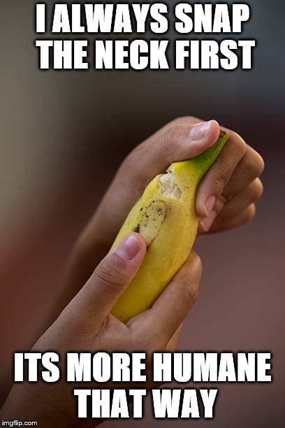 I ALWAYS SNAP THE NECK FIRST; ITS MORE HUMANE THAT WAY | image tagged in break open banana | made w/ Imgflip meme maker