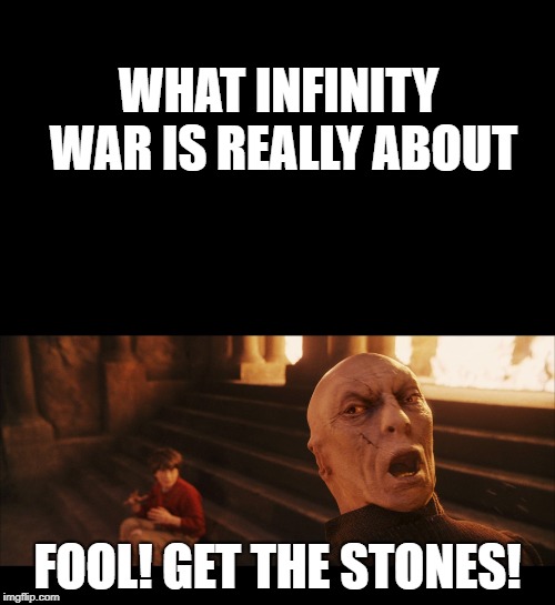 WHAT INFINITY WAR IS REALLY ABOUT; FOOL! GET THE STONES! | image tagged in harry potter,avengers infinity war | made w/ Imgflip meme maker