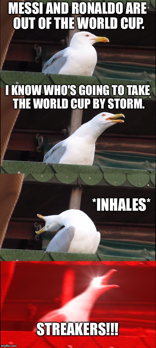 Streakers in soccer win World Cup |  MESSI AND RONALDO ARE OUT OF THE WORLD CUP. I KNOW WHO'S GOING TO TAKE THE WORLD CUP BY STORM. *INHALES*; STREAKERS!!! | image tagged in memes,inhaling seagull,world cup,naked,sports fans,ronaldo | made w/ Imgflip meme maker