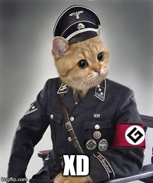Grammar Nazi Cat | XD | image tagged in grammar nazi cat | made w/ Imgflip meme maker