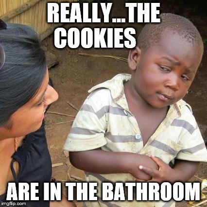 Third World Skeptical Kid Meme | REALLY...THE COOKIES; ARE IN THE BATHROOM | image tagged in memes,third world skeptical kid | made w/ Imgflip meme maker