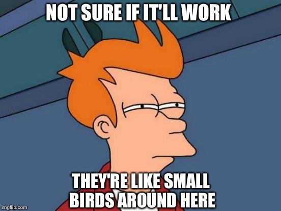 Futurama Fry Meme | NOT SURE IF IT'LL WORK THEY'RE LIKE SMALL BIRDS AROUND HERE | image tagged in memes,futurama fry | made w/ Imgflip meme maker