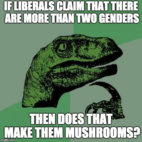 Philosoraptor | IF LIBERALS CLAIM THAT THERE ARE MORE THAN TWO GENDERS; THEN DOES THAT MAKE THEM MUSHROOMS? | image tagged in memes,philosoraptor | made w/ Imgflip meme maker