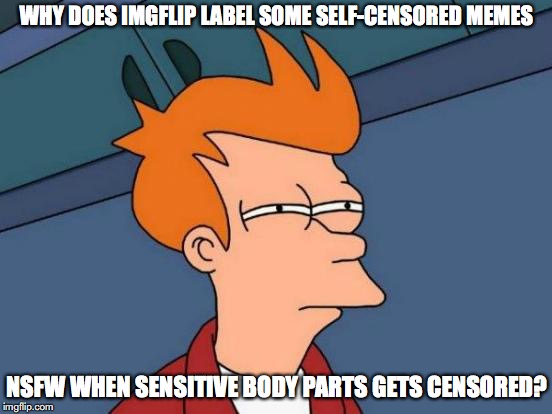 NSFW Memes | WHY DOES IMGFLIP LABEL SOME SELF-CENSORED MEMES; NSFW WHEN SENSITIVE BODY PARTS GETS CENSORED? | image tagged in memes,futurama fry,imgflip | made w/ Imgflip meme maker