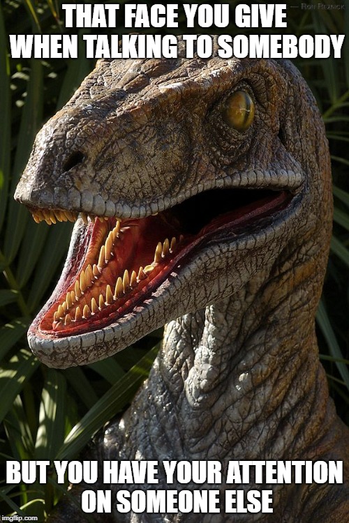 Ronny Raptor | THAT FACE YOU GIVE WHEN TALKING TO SOMEBODY; BUT YOU HAVE YOUR ATTENTION ON SOMEONE ELSE | image tagged in ronny raptor | made w/ Imgflip meme maker