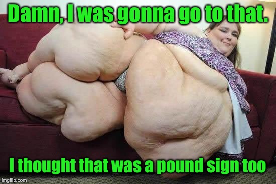 fat girl | Damn, I was gonna go to that. I thought that was a pound sign too | image tagged in fat girl | made w/ Imgflip meme maker