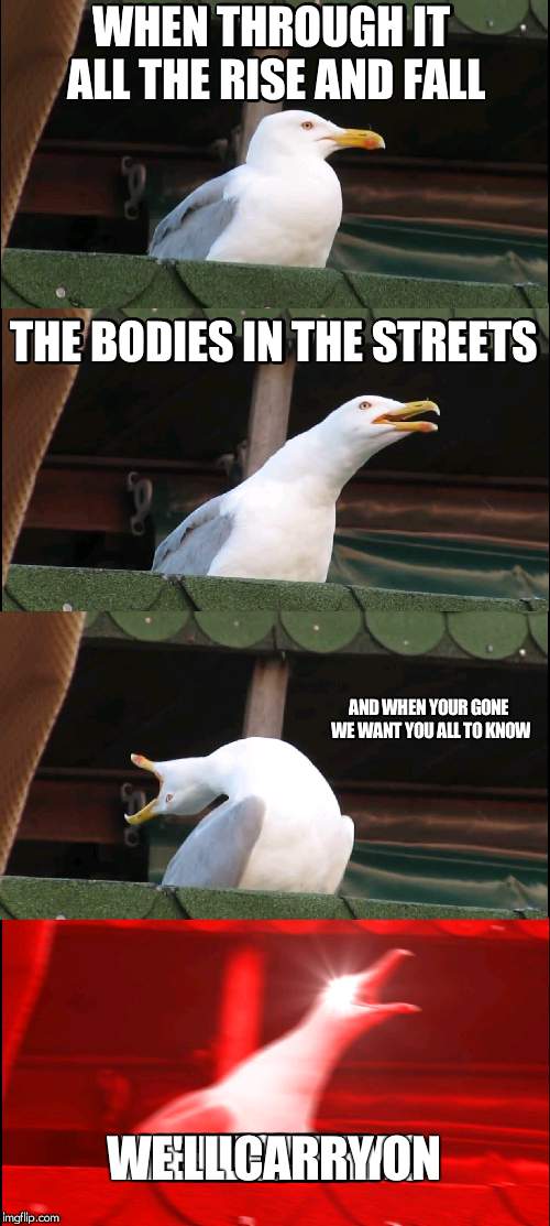 Inhaling Seagull Meme | WHEN THROUGH IT ALL THE RISE AND FALL; THE BODIES IN THE STREETS; AND WHEN YOUR GONE WE WANT YOU ALL TO KNOW; WE'LL CARRY ON | image tagged in memes,inhaling seagull | made w/ Imgflip meme maker