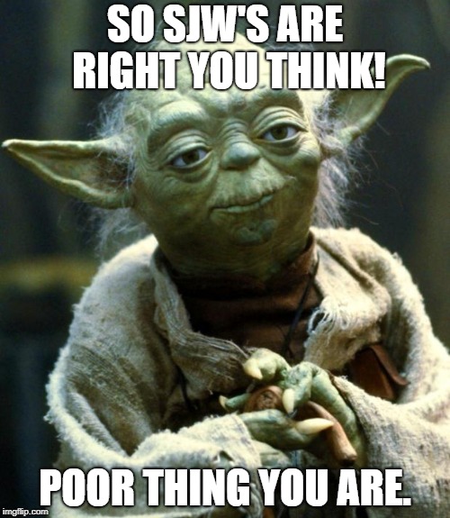 Star Wars Yoda Meme | SO SJW'S ARE RIGHT YOU THINK! POOR THING YOU ARE. | image tagged in memes,star wars yoda | made w/ Imgflip meme maker