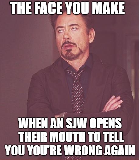 Face You Make Robert Downey Jr Meme | THE FACE YOU MAKE; WHEN AN SJW OPENS THEIR MOUTH TO TELL YOU YOU'RE WRONG AGAIN | image tagged in memes,face you make robert downey jr | made w/ Imgflip meme maker